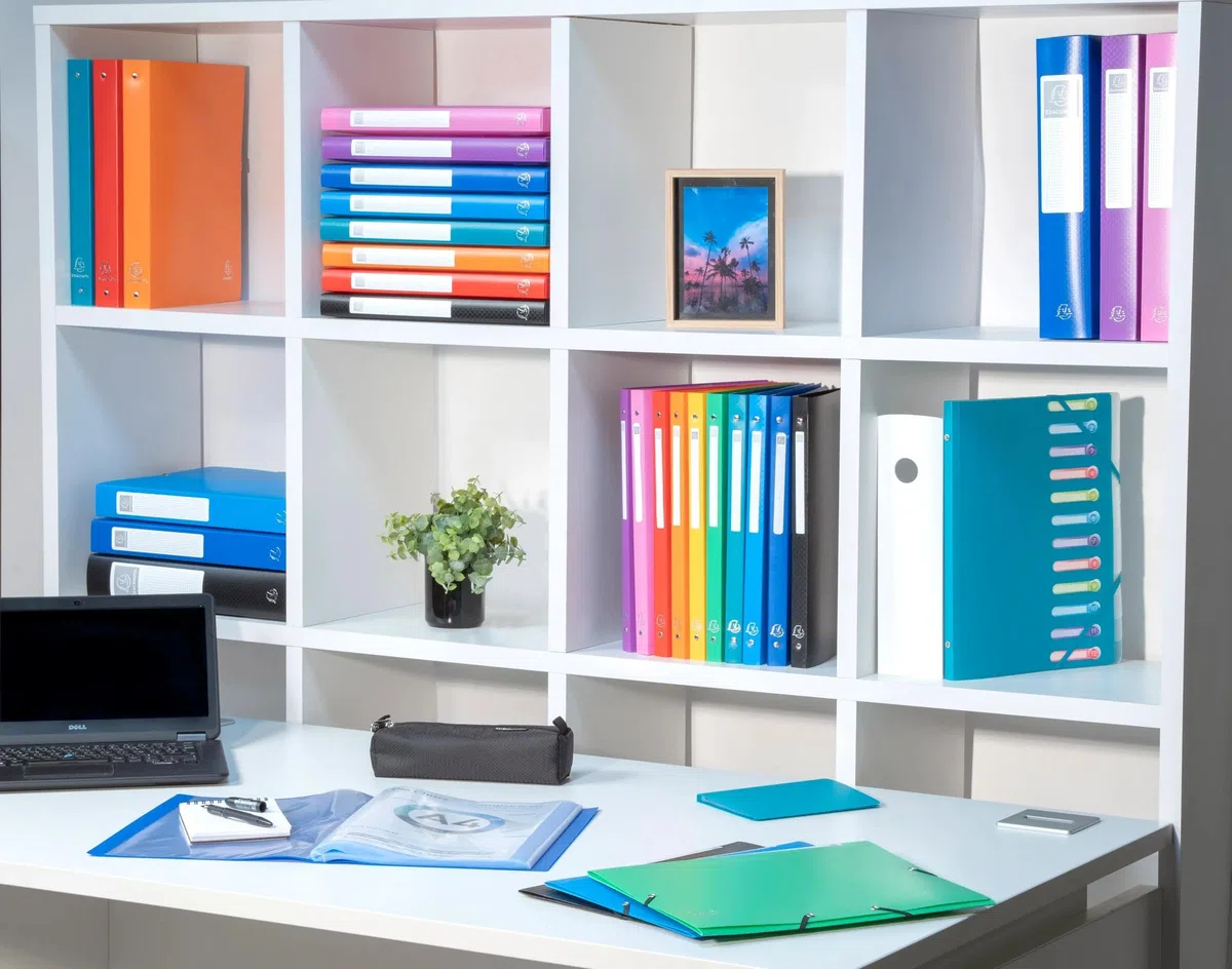 Exacompta - Ref. 88224E OPAK - Cartón de 20 fundas de documentos (20 fundas de cristal liso), 40 vistas, para tamaño A4, dimensiones 24 x 32 cm, tapa de polipro semirrígido, color naranja