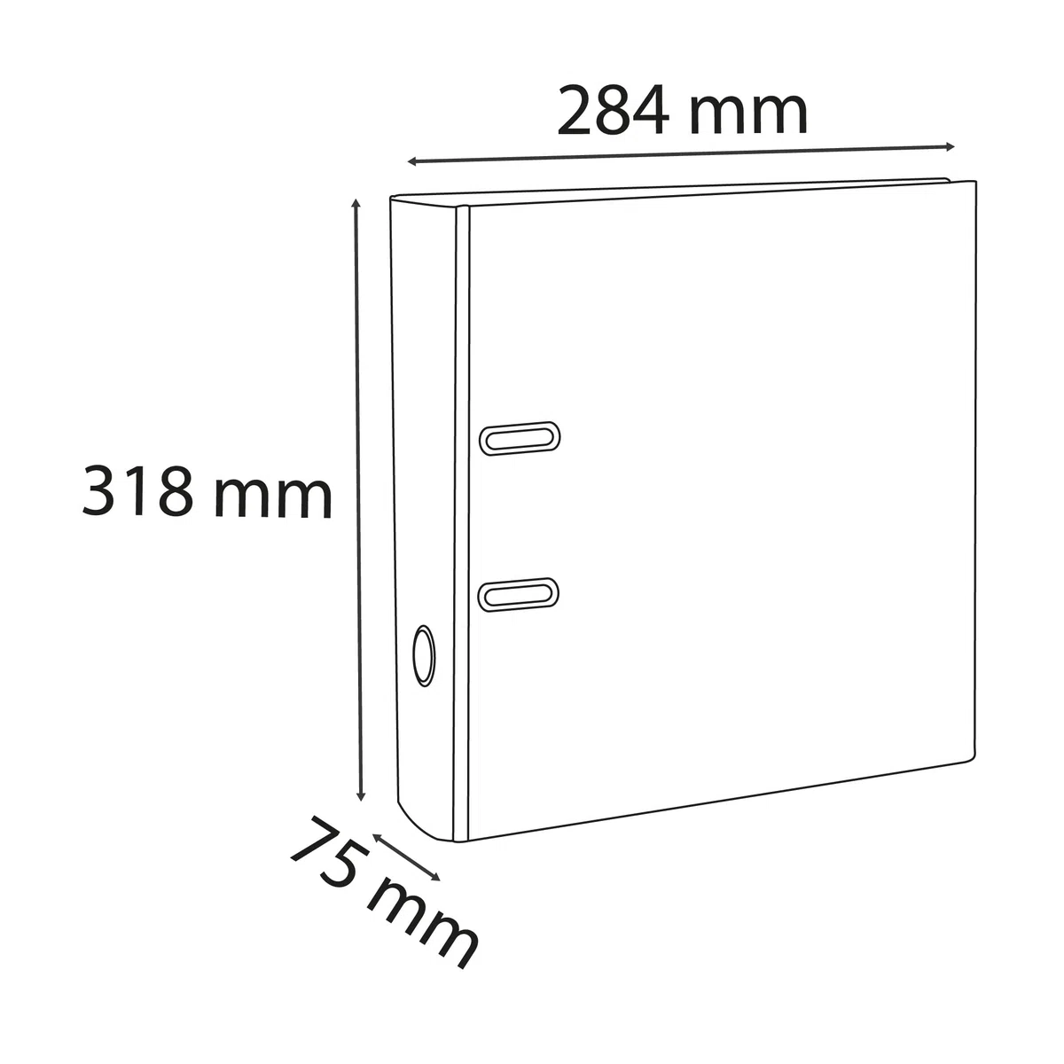Exacompta - 918416B - Caja de 20 archivadores de palanca A4 - Lomo 80 mm - Mecánico 80 mm - Dimensiones exteriores: 32 x 29 x 8 cm - Formato a archivo A4 - Color: Gris
