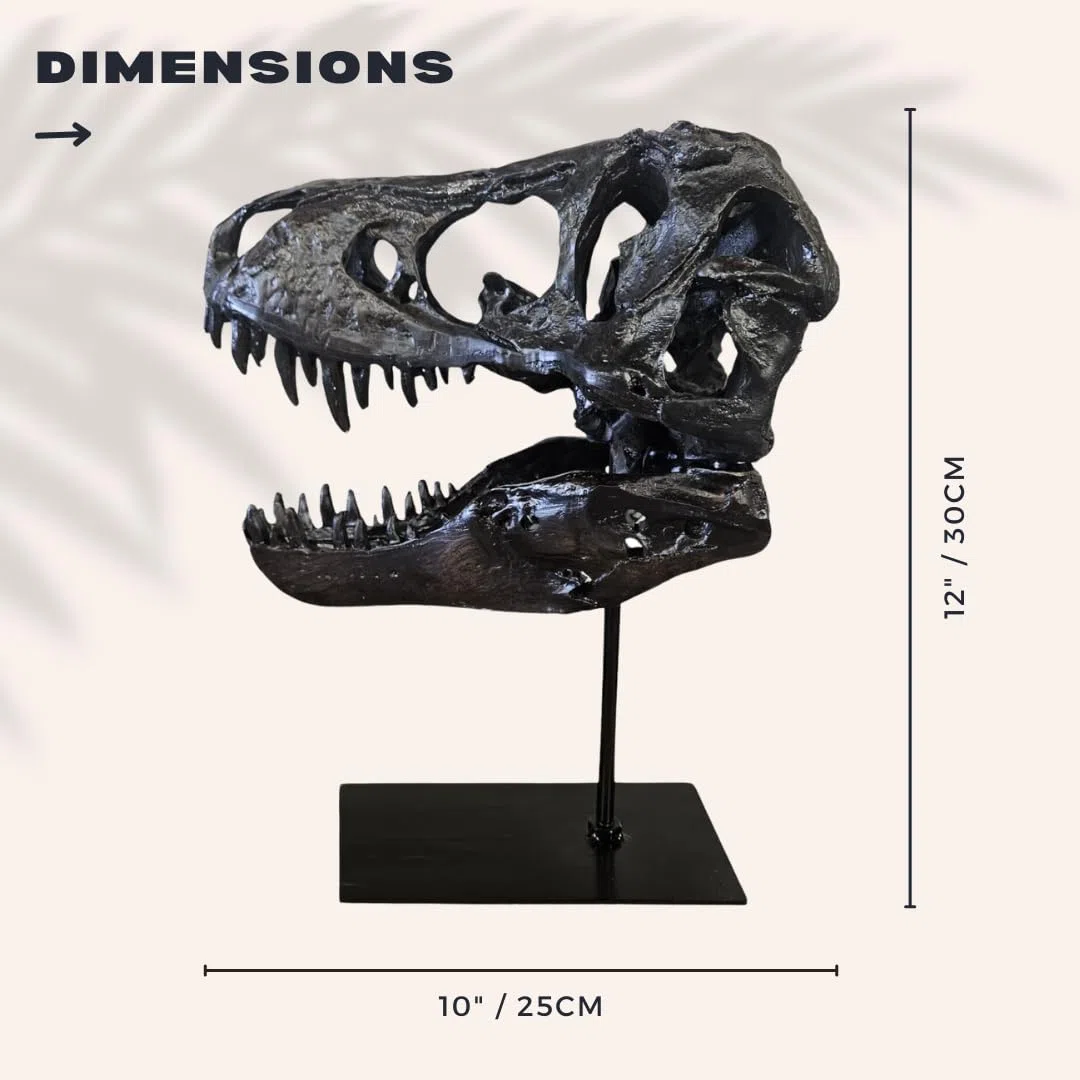 T-Rex Cráneo XXL sobre soporte de metal - Réplica - Tyrannosaurus Rex - Dinosaurio - Fósil - Decoración de lujo - 30x25 cm