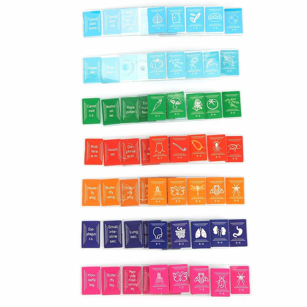 Kit de Cuchillas de microscopio preparadas con muestras de Hojas de Vidrio Transparentes colección de ejemplares Surtidos para la enseñanza de Las Ciencias biológicas básicas 35PC