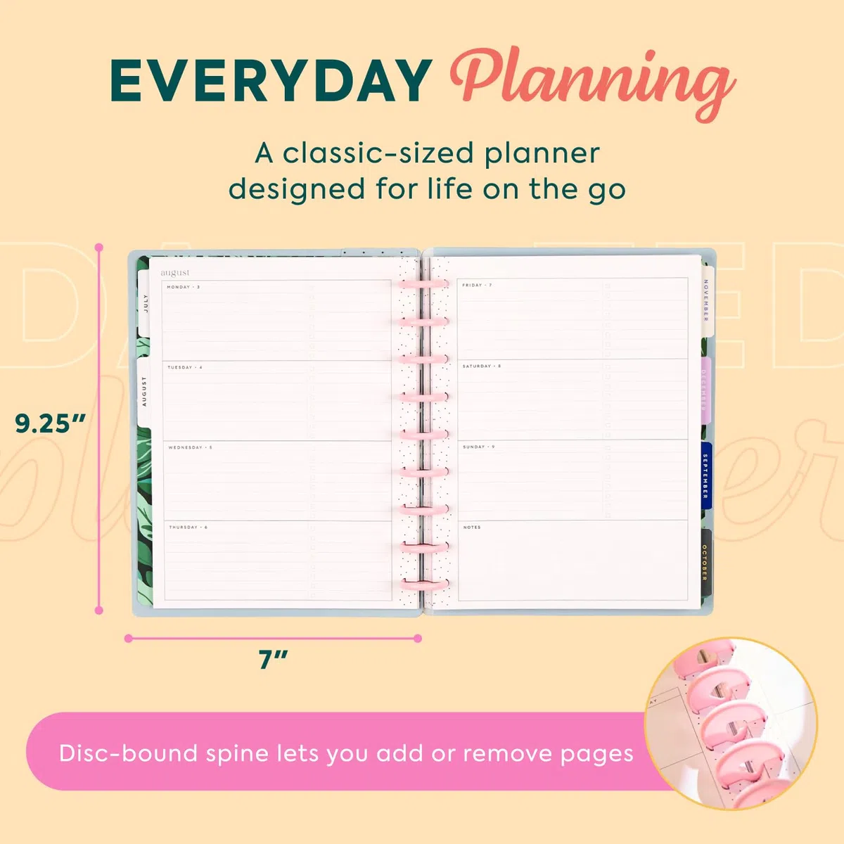 The Happy Planner Mystic Moths Sage Classic - Agenda de 12 meses con fecha de disco