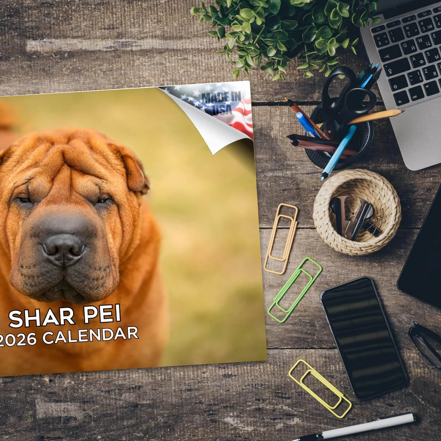 Calendario 2024 2025 Shar Pei – Calendario mensual de pared de raza de perro – 12 x 18 pulgadas abierto – Papel grueso que no se corre – Regalo – Calendario académico para profesores, calendario de