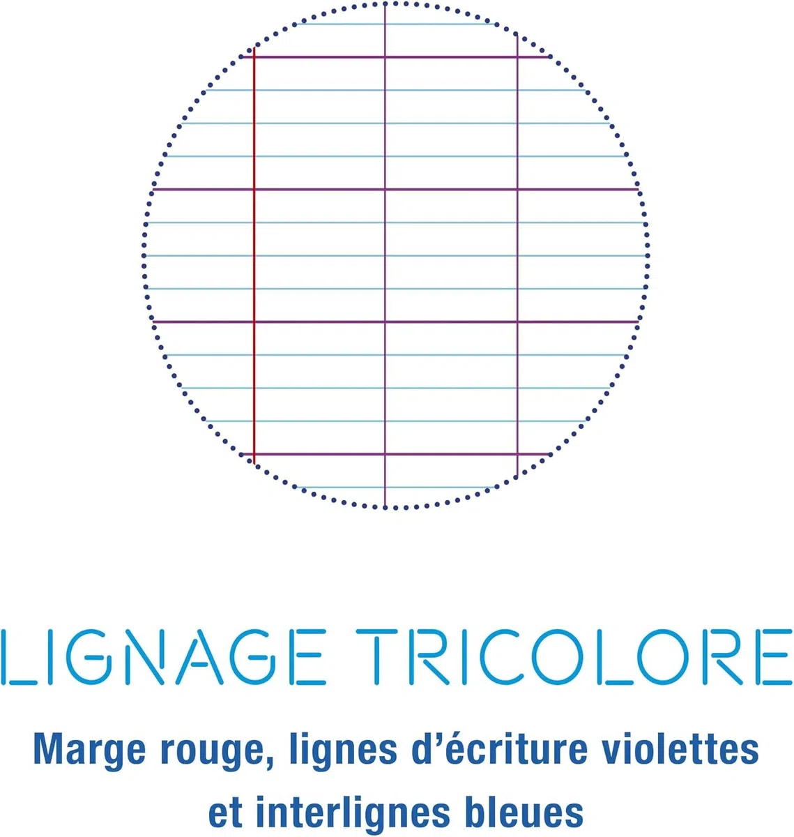 Lote de 10 cuadernos de 24 x 32 cm, 96 páginas Seyes cubierta de poliuretano + 1 índice adhesivo Blumie (10 Calligra)