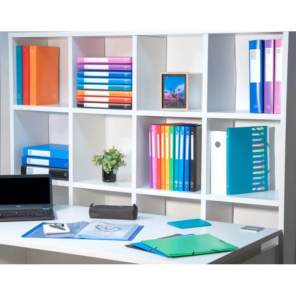 Exacompta 20 carpetas de fundas Opak A4 20 fundas negro