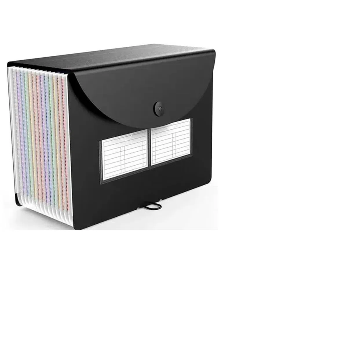 Organizador de archivos en acordeón de plástico, Carpeta de archivos acordeón plástico, organizador recibos documentos en papel expandible A4, 12 bolsillos