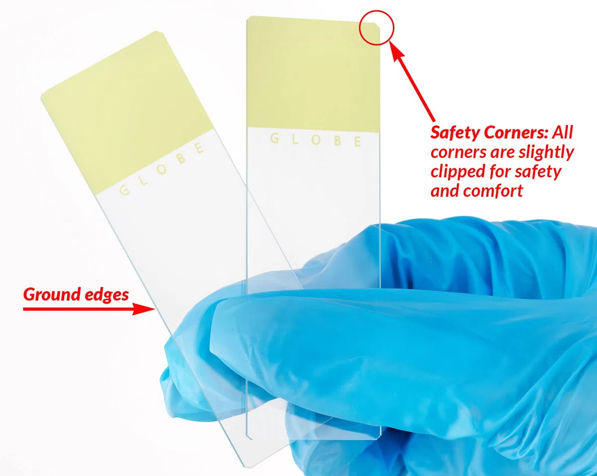 Globe Scientific 1324Y - Guía para microscopio (Cristal, 25 x 75 mm), Bordes con Esquinas de Seguridad, Color Amarillo Esmerilado (1.440 Diapositivas)