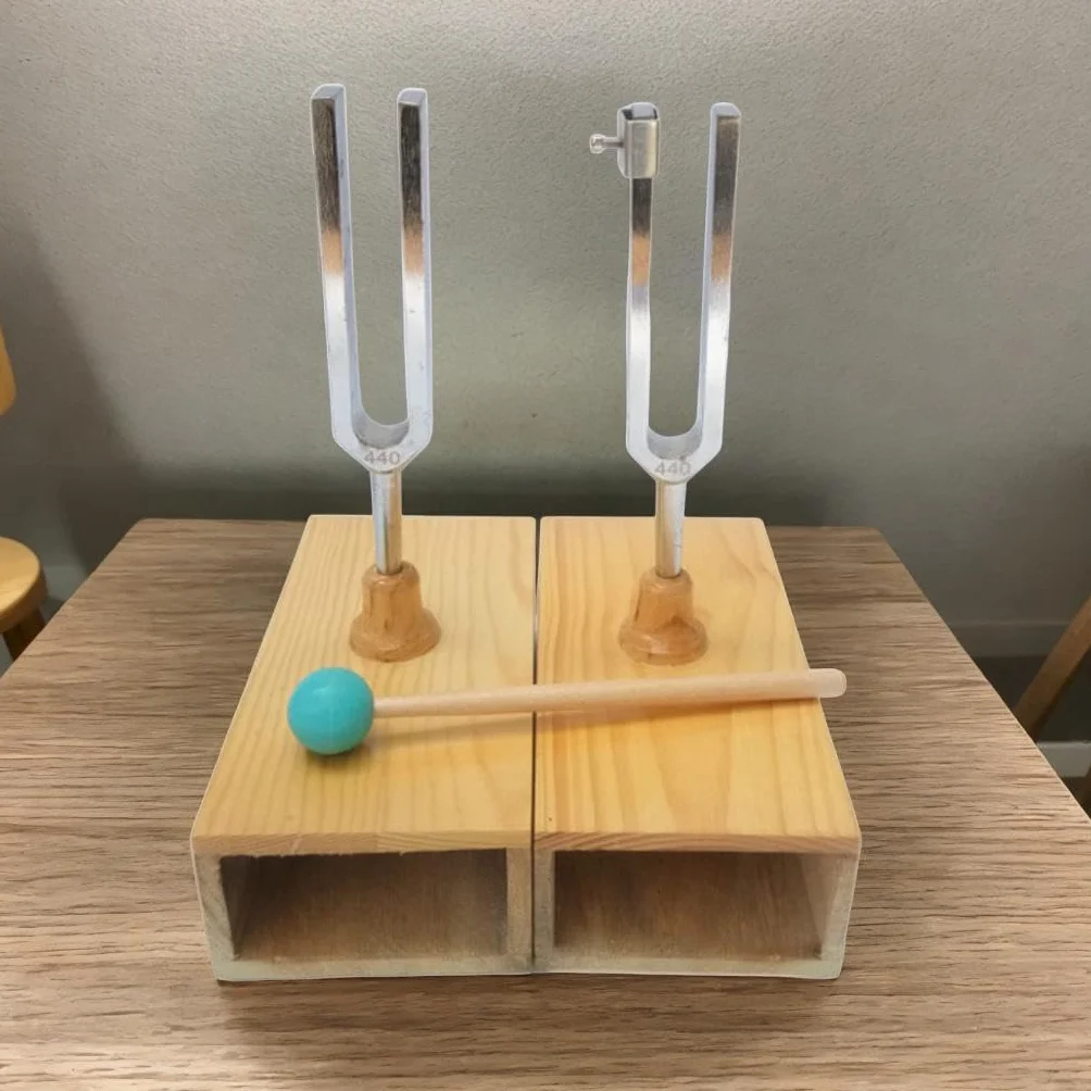 Oshhni Diapasón resonante con caja de resonancia Material didáctico equipado con martillo de silicona Resonador Diapasón Cajas de resonancia Juego de