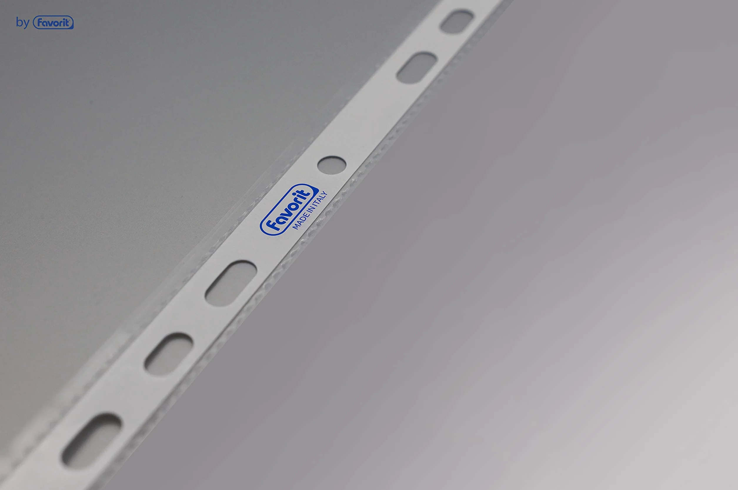 Favorit 100460064 - Protector (210 x 297 mm (A4), Polipropileno) Transparente